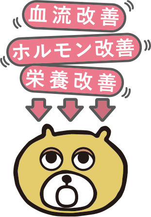 血流改善・ホルモン改善・栄養改善