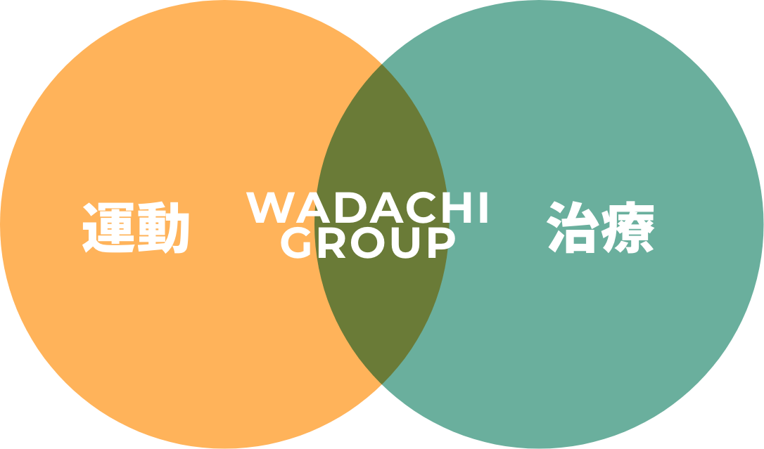 WADACHI GROUPのトータルヘルスケア概念図（治療・運動・食事）