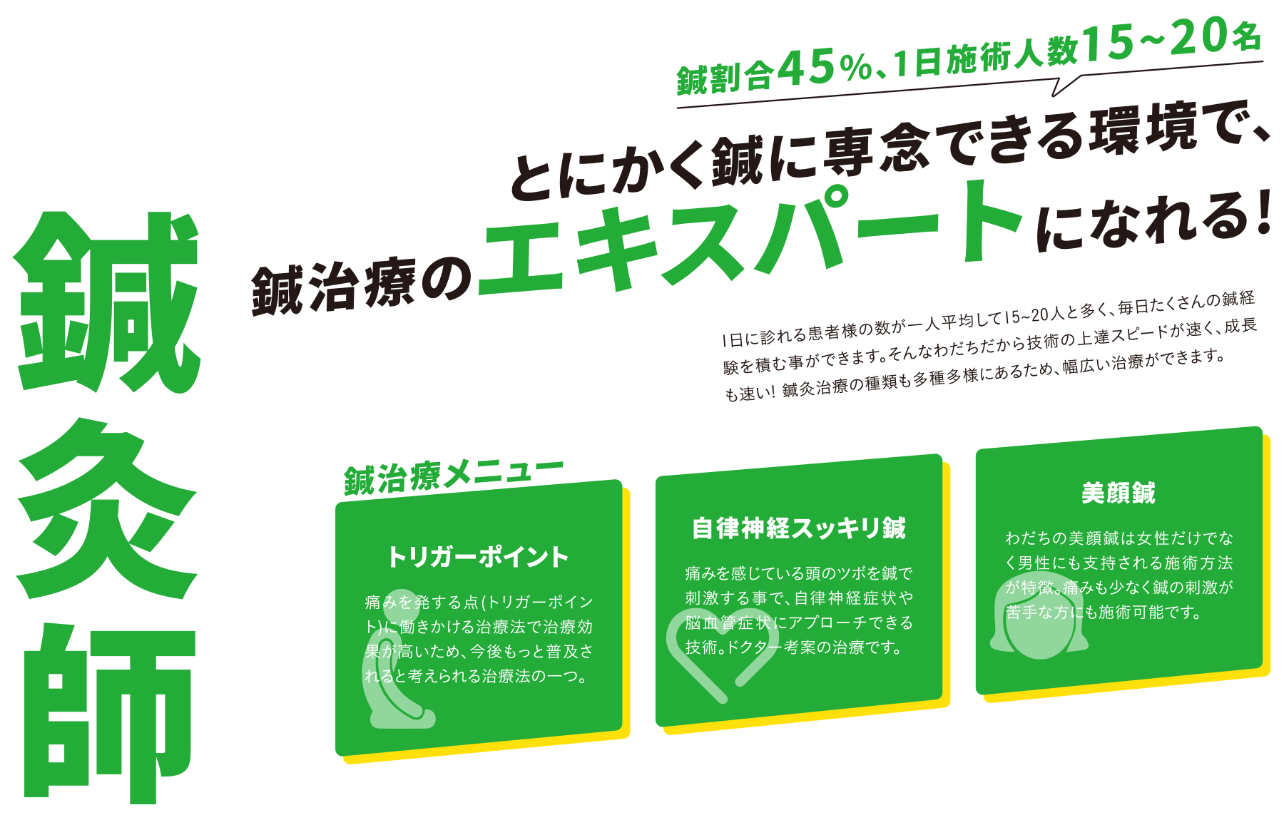 鍼灸師 鍼治療のエキスパートになれる